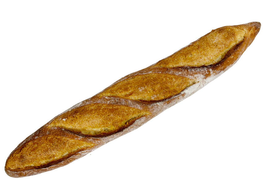 レスペクチュスパニスT-65バゲット